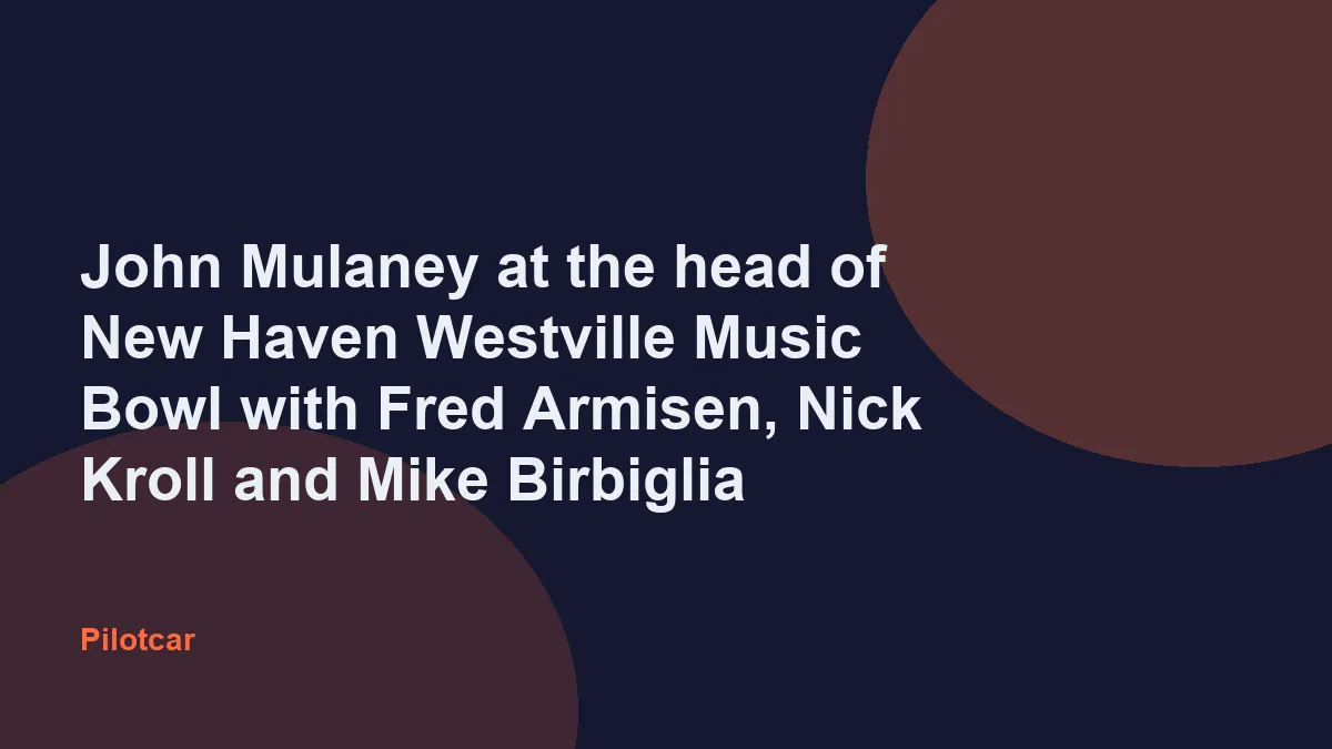 John Mulaney at the head of New Haven Westville Music Bowl with Fred Armisen, Nick Kroll and Mike Birbiglia — overview visual
